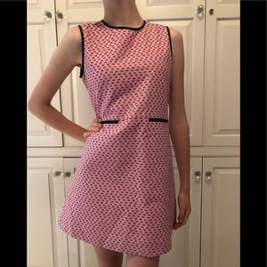 Brooks Brothers Pink Dress